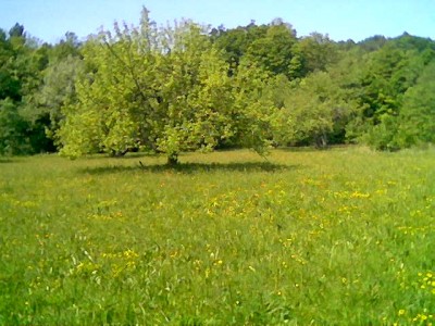 Slika011.jpg