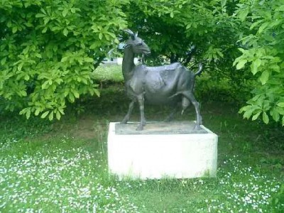 tuzlanska_koza.jpg