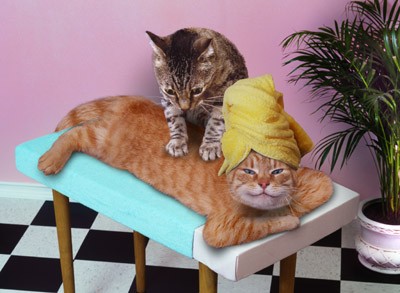 927832massage.jpg