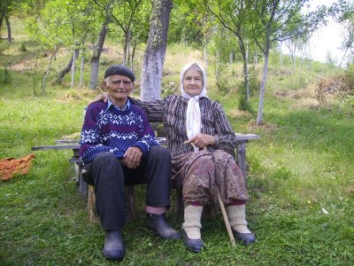 vidovita Ä‘Å¾emila.jpg