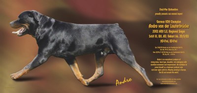 androadcenterfold.jpg