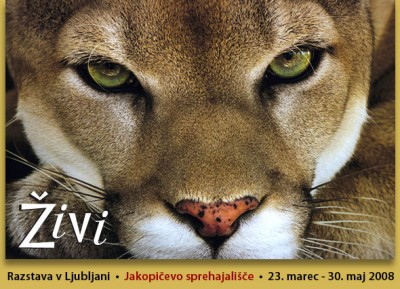 www-zivi-00.jpg