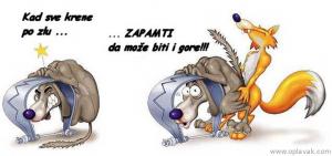 smesne slike optimizam 2.preview.jpg