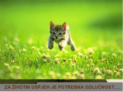 01-large.jpg