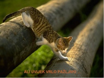 07-large.jpg