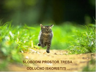 09-large.jpg