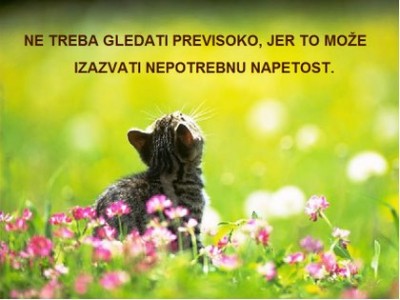 17-large.jpg