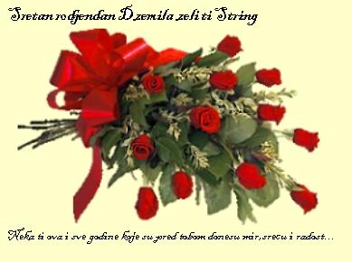 sretan rodjendan1.JPG