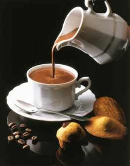 kava1900722958bp9.jpg