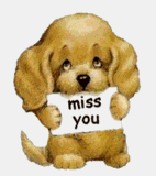 1c188d9951c43fd4d5487b5f8ce97070.gif